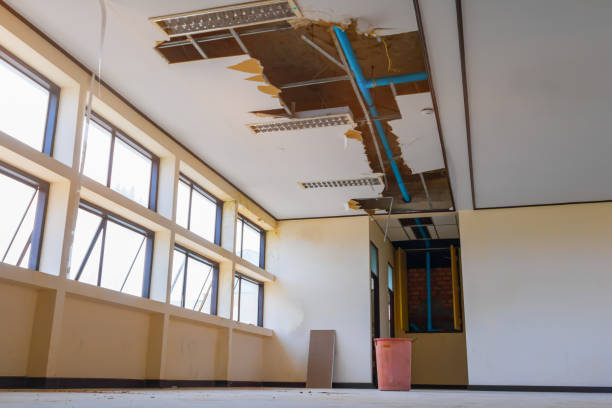 Best Commercial Water Damage Restoration in Issaquah, WA