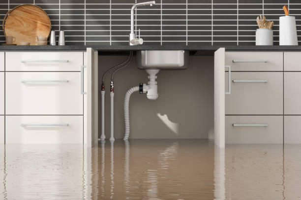 Issaquah, WA Water damage restoration Company